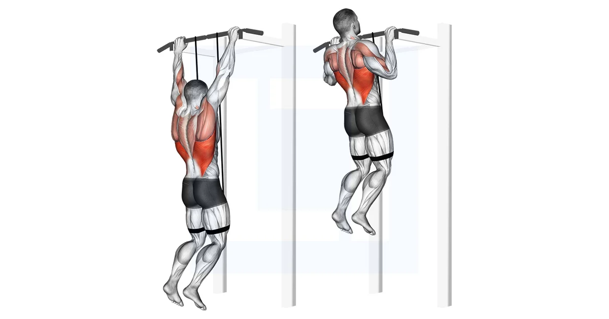 Is Bodyweight Training Enough to Build Muscle?